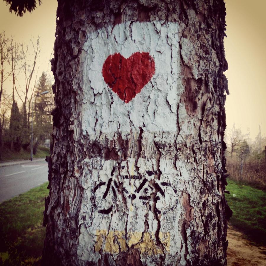 Villa Filmowiec Polanica-Zdrój Esterno foto