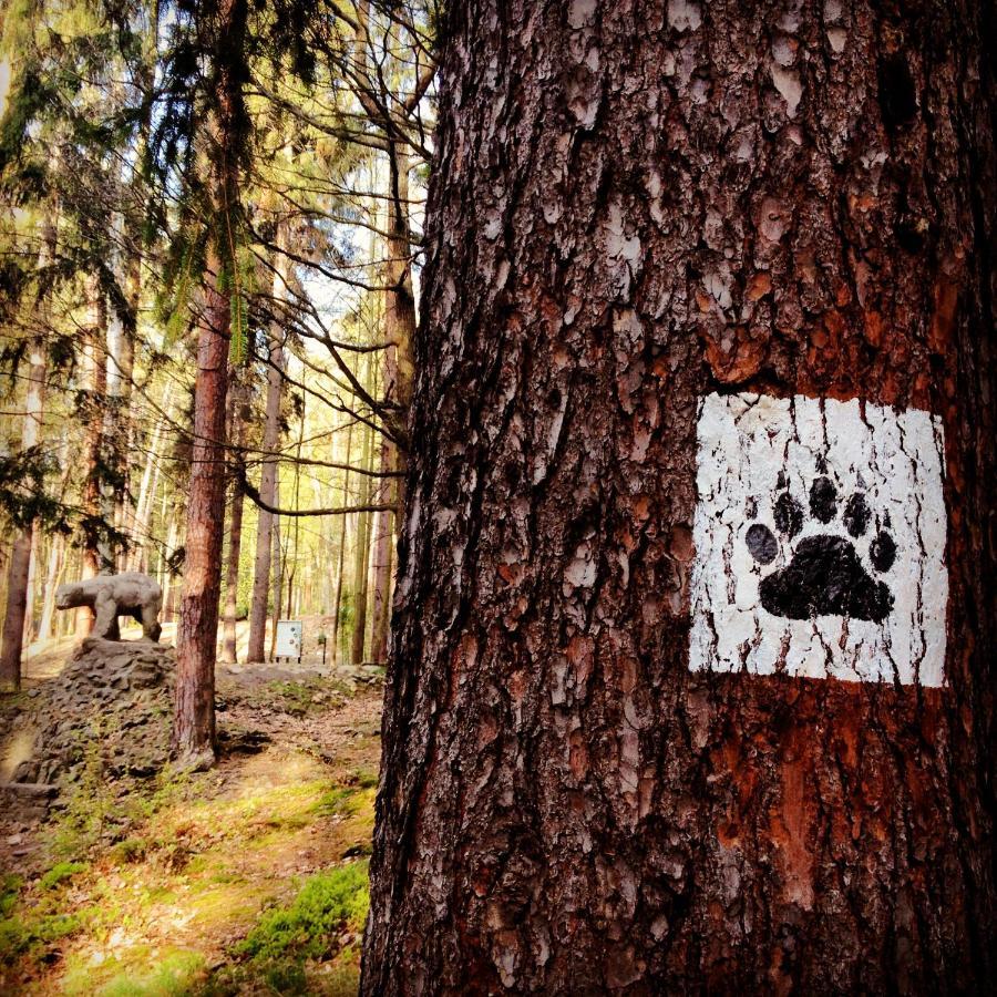 Villa Filmowiec Polanica-Zdrój Esterno foto